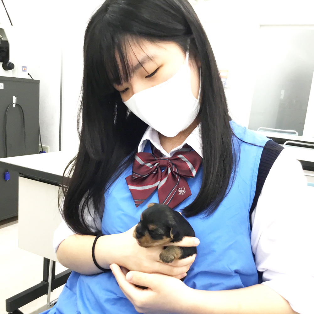 高校生の職業体験♪